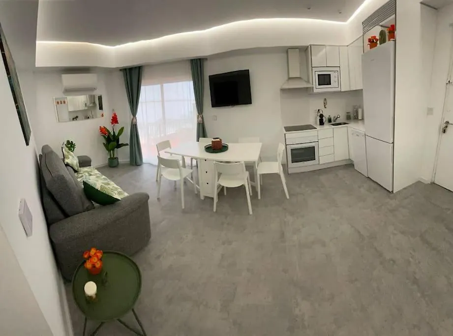 Big Terrace Next To Beach And Old Town Apartment Marbella
